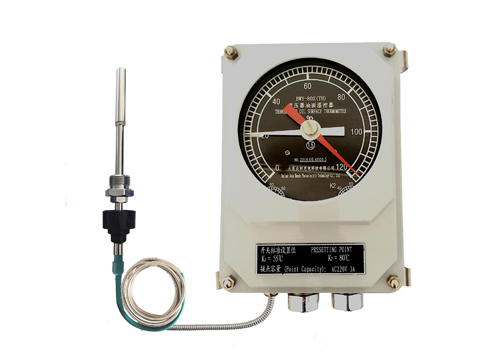 Remote Monitoring System ZP-RM018